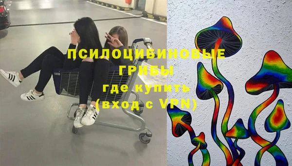 mdma Ельня