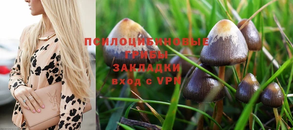 бошки Елизово