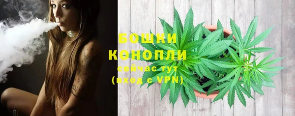 бошки Елизово