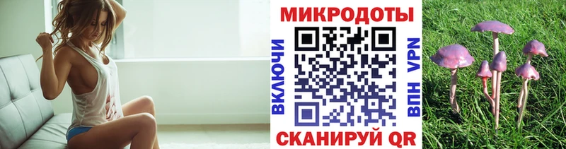 Галлюциногенные грибы Cubensis  как найти   Тейково 