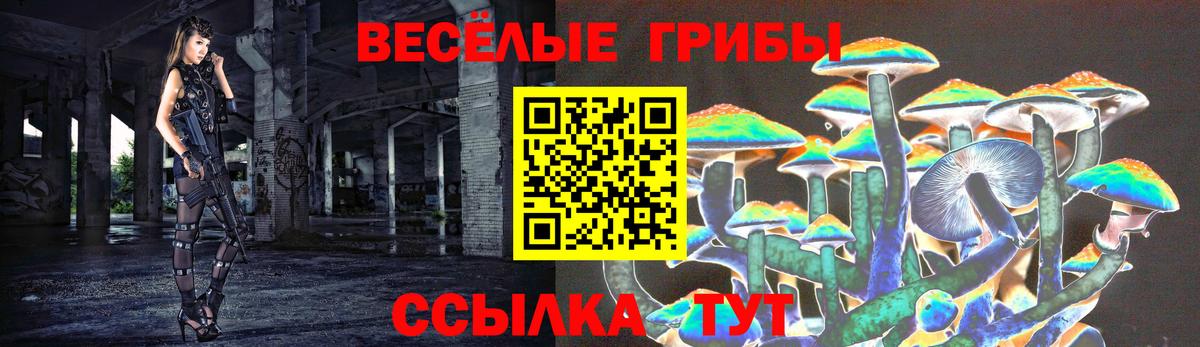Псилоцибиновые грибы мухоморы Тейково