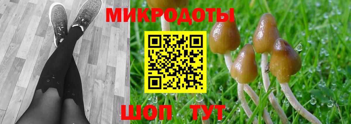 Тейково  Псилоцибиновые грибы Magic Shrooms  Вход с VPN 